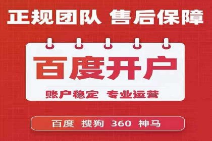 成功托管SEM竞价，实现品牌快速曝光